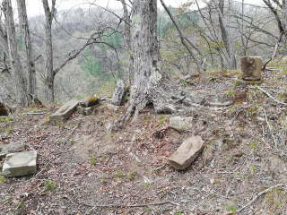 画像に含まれている可能性があるもの:木、屋外